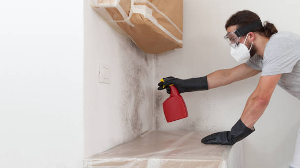 Professional Hvac And Air Duct Mold Remediation technician working in Bay Shore, NY